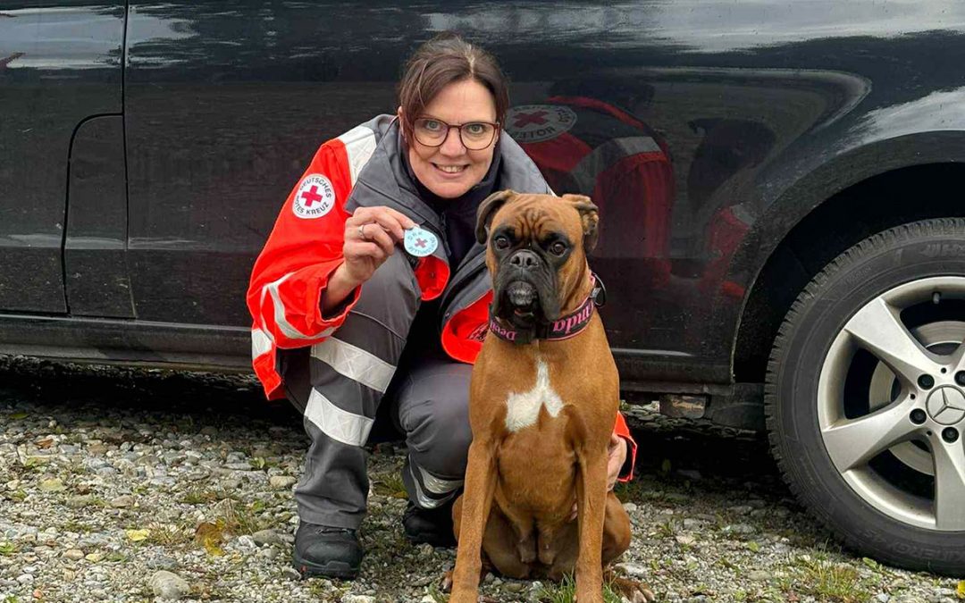 Ein Kleiner Strolch beim Deutschen Roten Kreuz
