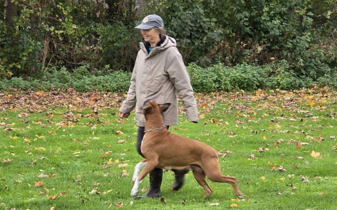 Prüfung im BK Fischach mit 4 Kleinen Strolchen