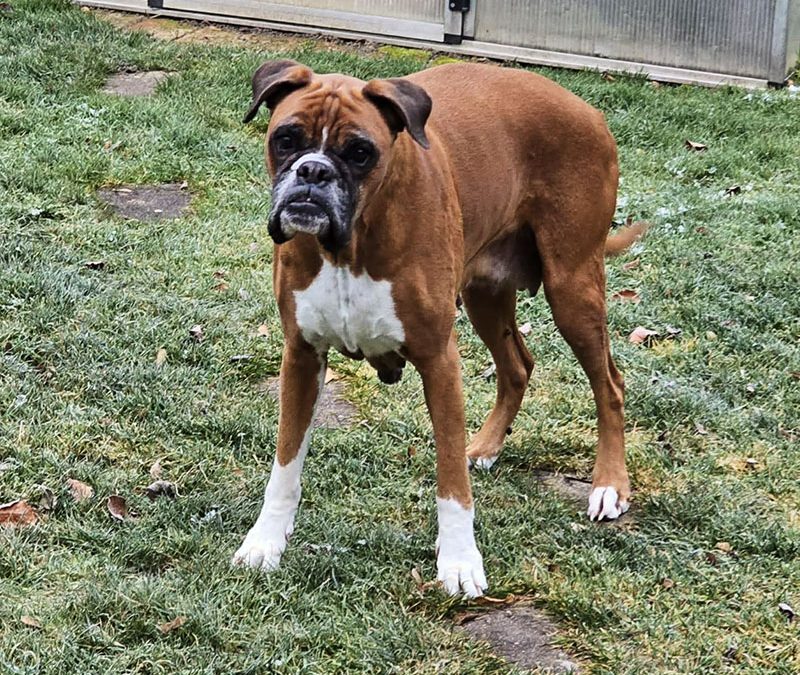 🌈 unsere Xilly 😥