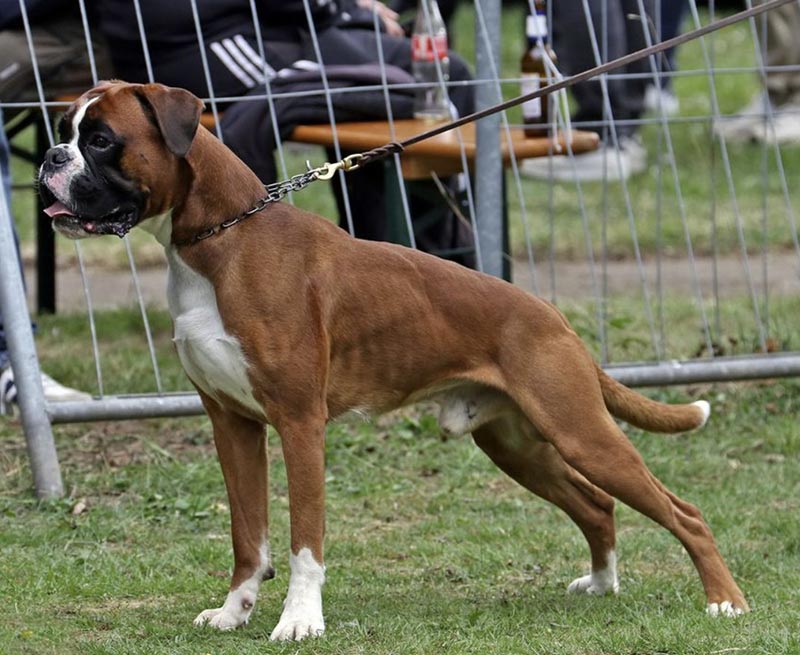 Charlotte war auf Hochzeitsreise